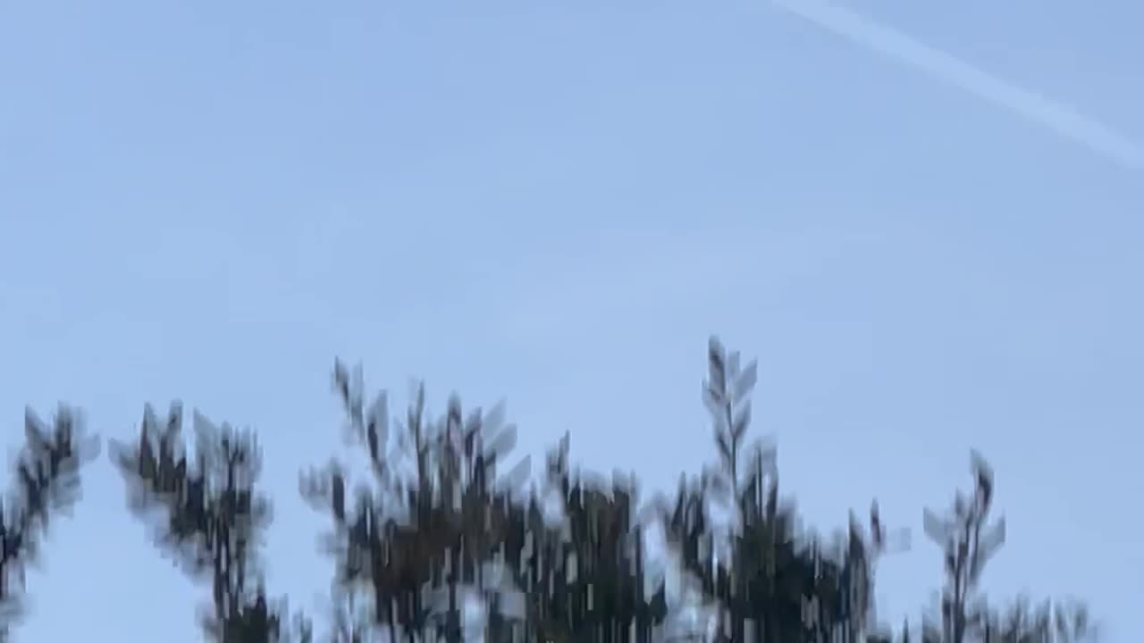 They are attacking! Evil Ghouls!