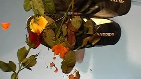 Adidas Goodyear Crush Flowers - Male Content