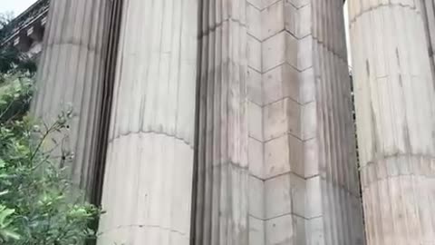 San Francisco TARTARIA