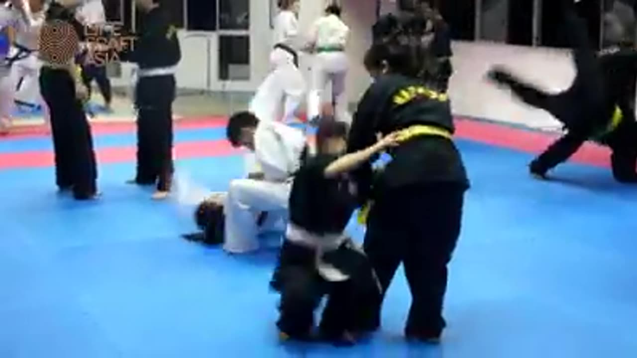 Hapkido