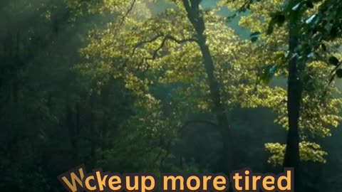 Insomnia Facts #ElderCare 🧓 #SleepTips 😴 #CalmNights 🌙 #RestEasy 🛏️ #GoldenYears 🌟