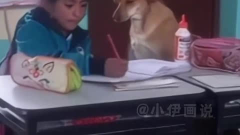 Heartwarming Painting Story: Loyal Dog Accompanies Owner to and from School Every Day!