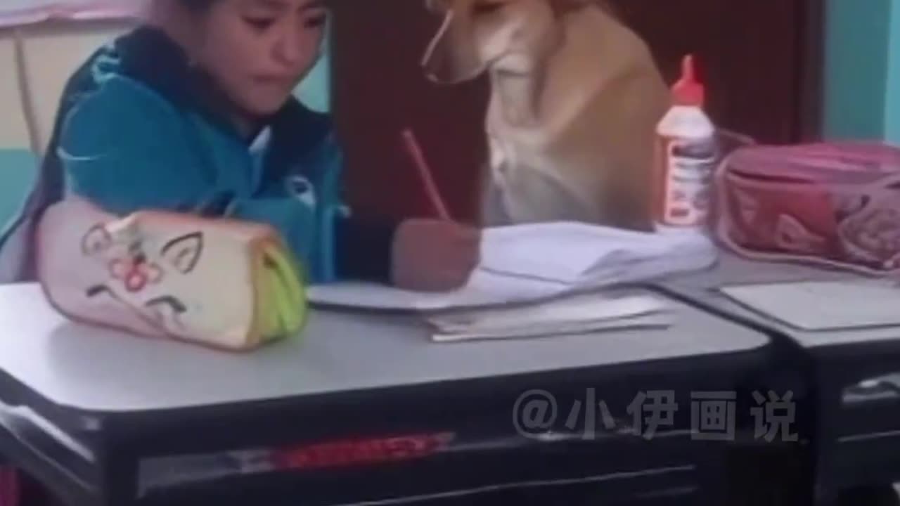 Heartwarming Painting Story: Loyal Dog Accompanies Owner to and from School Every Day!