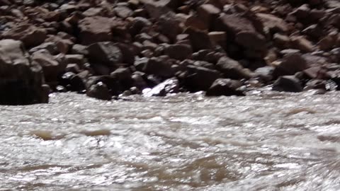A sideways glance at the Whitewater and shore, Cataract Canyon