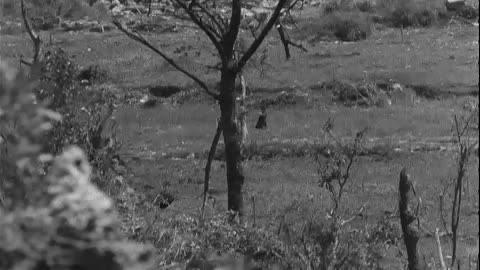 305TH REGT, 77TH DI... - 305TH REGT, 77TH DIV, TAKING HILL NO. 85, OUTSKIRTS SW OF ME - 111-adc-4849