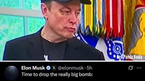 How did ELON really get the black eye??