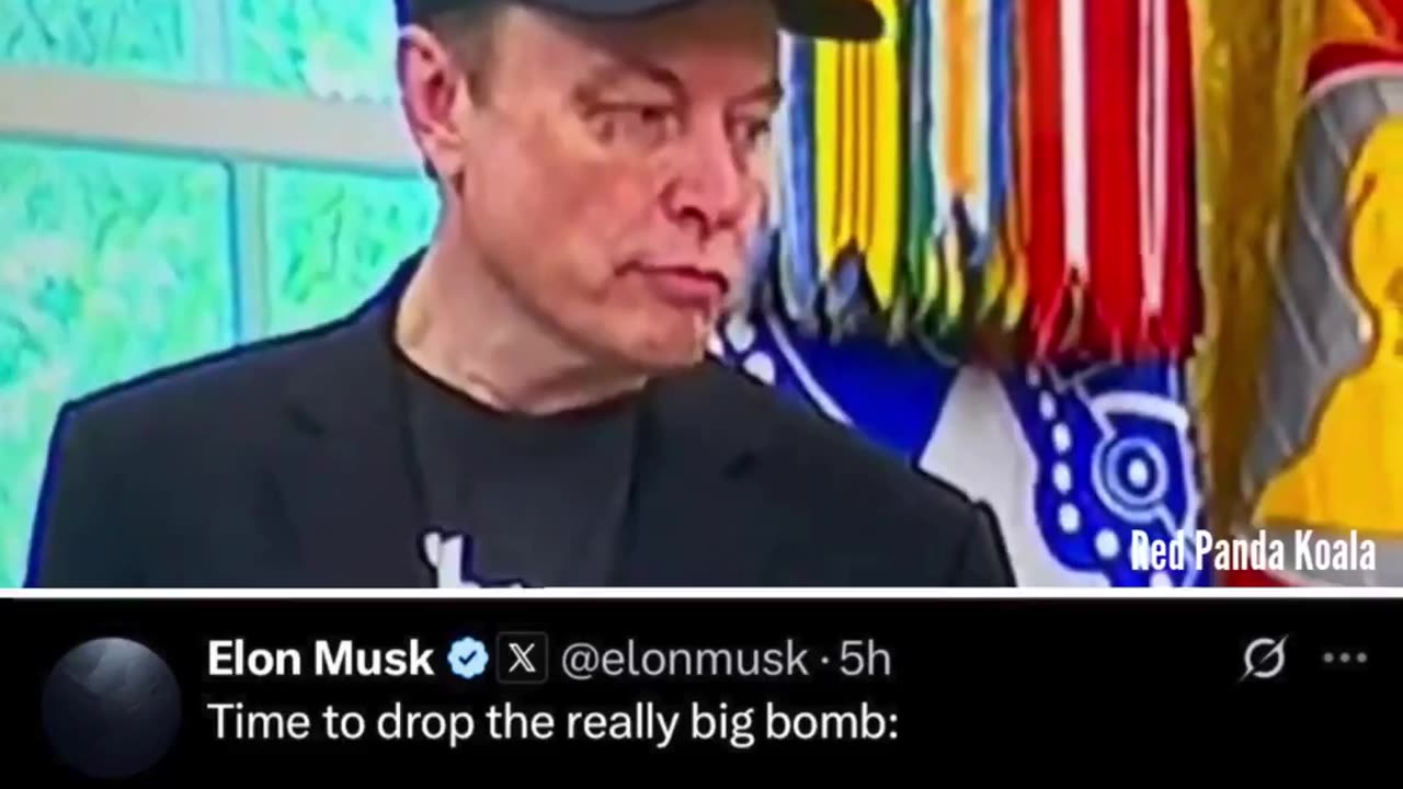 How did ELON really get the black eye??