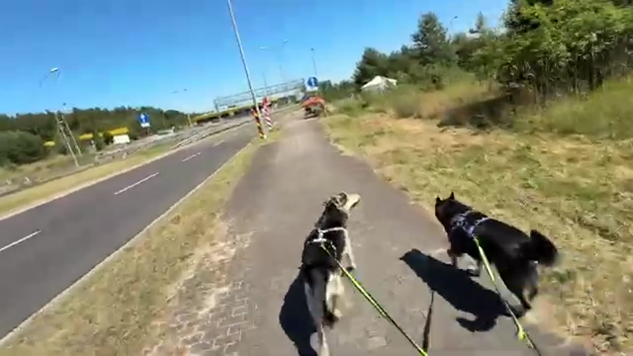 WIZYTA NA GRANICY