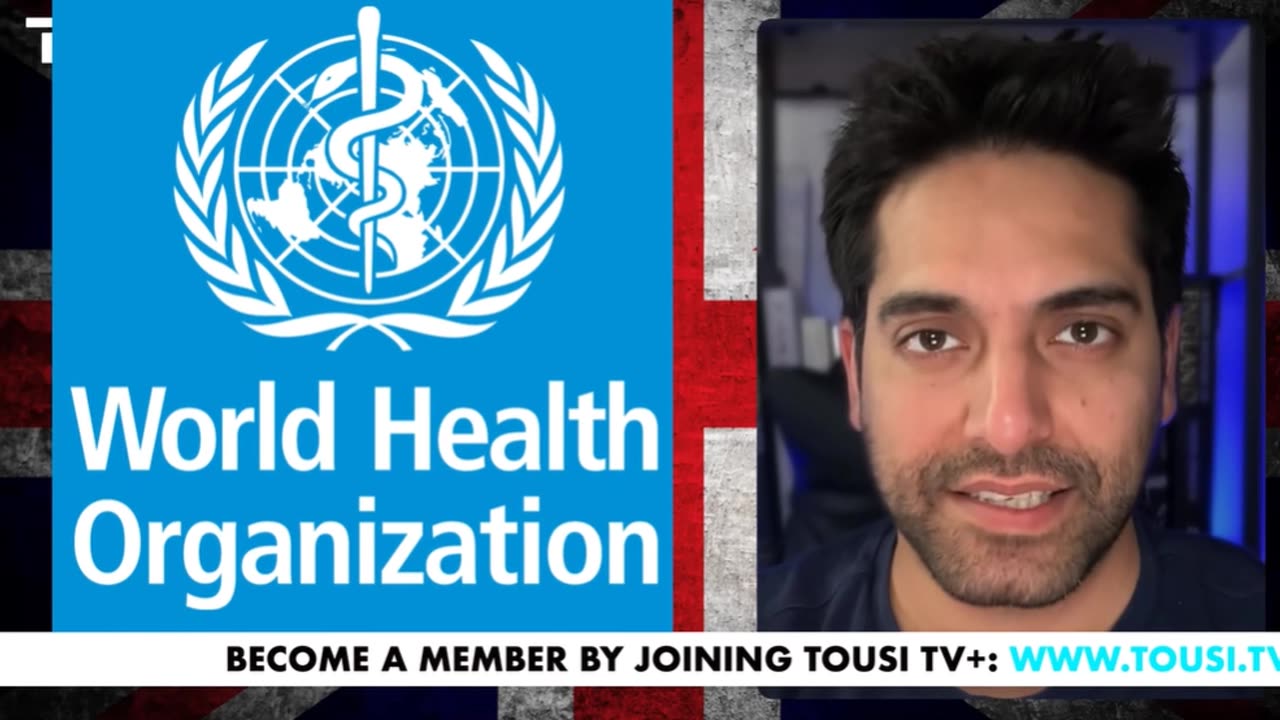 Does the World Health Organization Face Collapse?