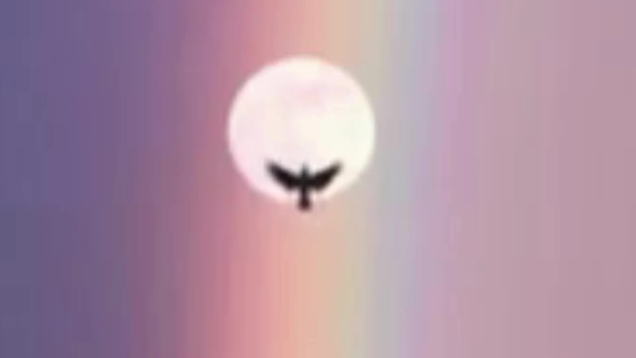 💋Sun, Rainbow, Eagle in same Frame
