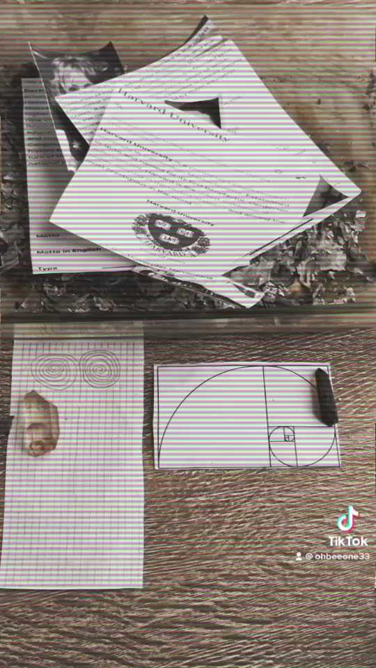 Tim Rifat TikTok Videos