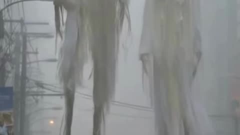 WEIRD CREATURES SEEN IN STREETS OF EUROPE AND ASIA, WHAT ARE THESE BEINGS? #SHORTS