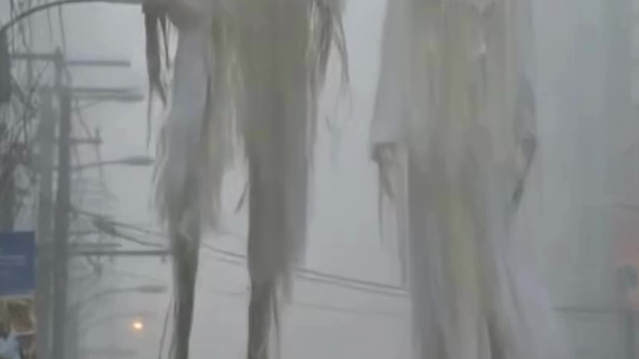 WEIRD CREATURES SEEN IN STREETS OF EUROPE AND ASIA, WHAT ARE THESE BEINGS? #SHORTS