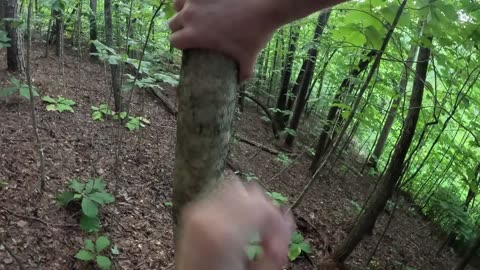 Can this retard make it to the tree before he touches lava Day: 11 (success)