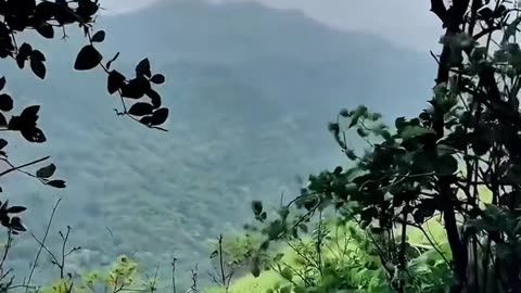 Earth’s Hidden Waterfalls – You’ve Never Seen Nature Like THIS!