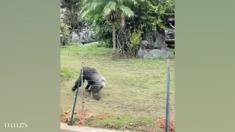 🤣🤣 funny
