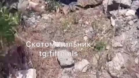 War in ukraine