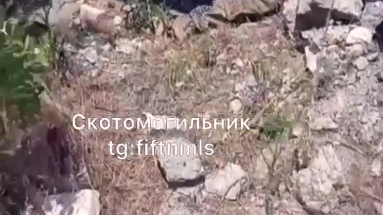 War in ukraine