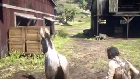 Funny videos in english