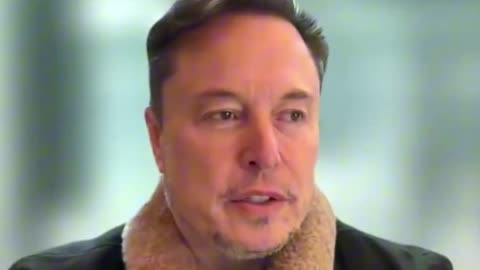 Musk Denounces Fraud at USAID and Questions the Real Destination of International Aid