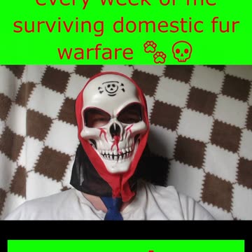 I live in a zoo now. Send help.