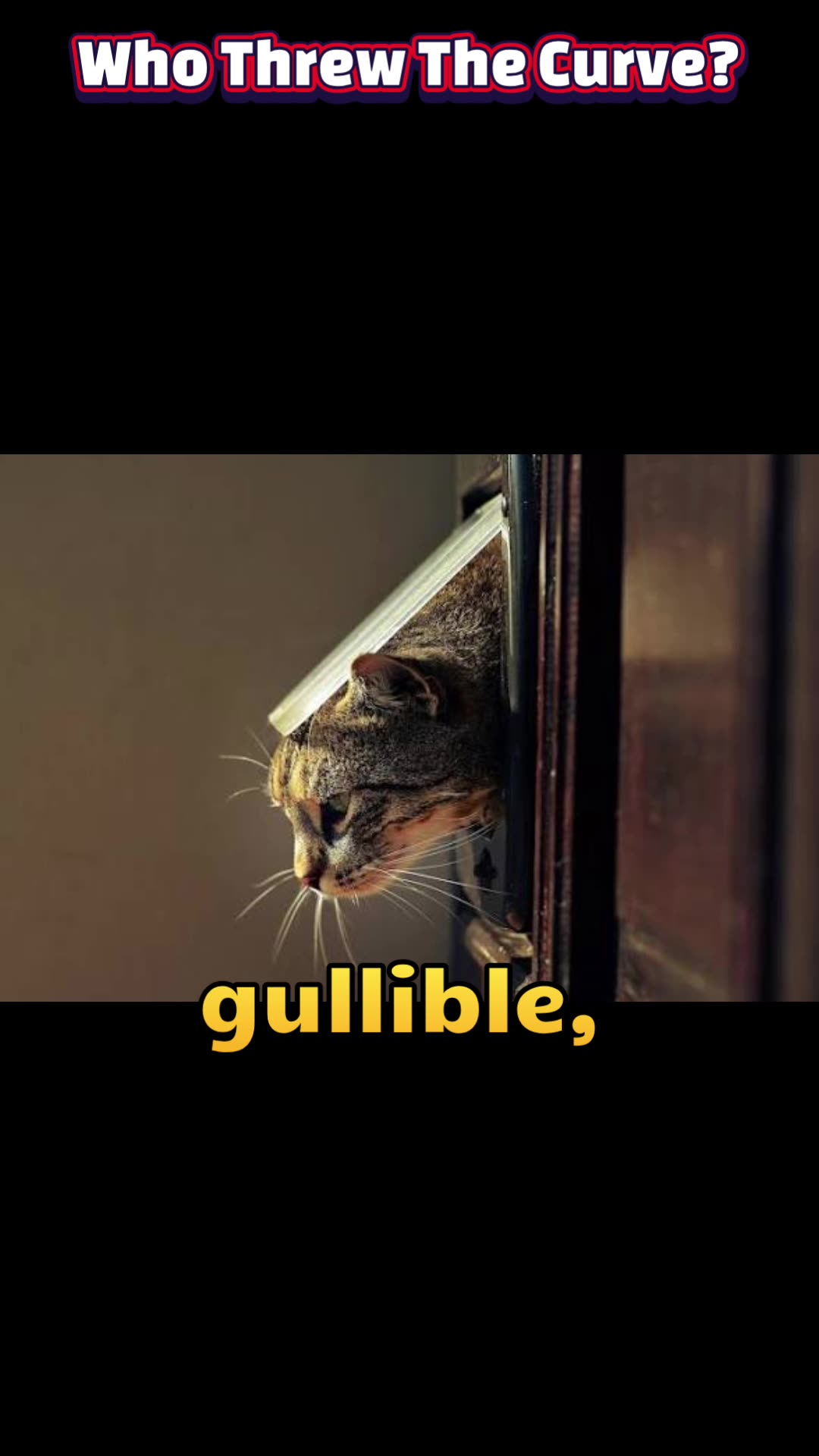 Cats at the Door: Love or Surveillance?