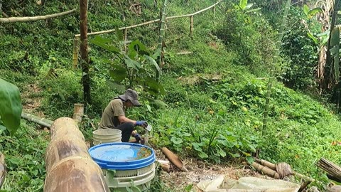 FINALLY Starting To See Progress In The Garden| Slow Living on A Colombian Homestead