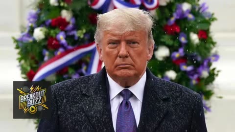 Trump Proposes Renaming Veterans Day to 'Victory Day for World War I'