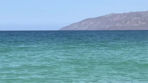 Mejorar la función y la salud mitocondrial: Suplementos, dieta y hábitos