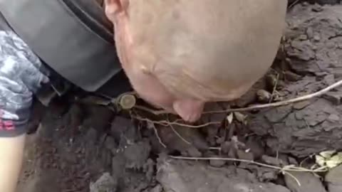 0:10 control in the head of a pig that showed signs of life