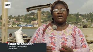 Elephant & African Wildlife #16 – Majestic Giants of Gabon