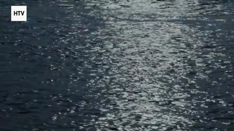 The Eternal Battle of Survival