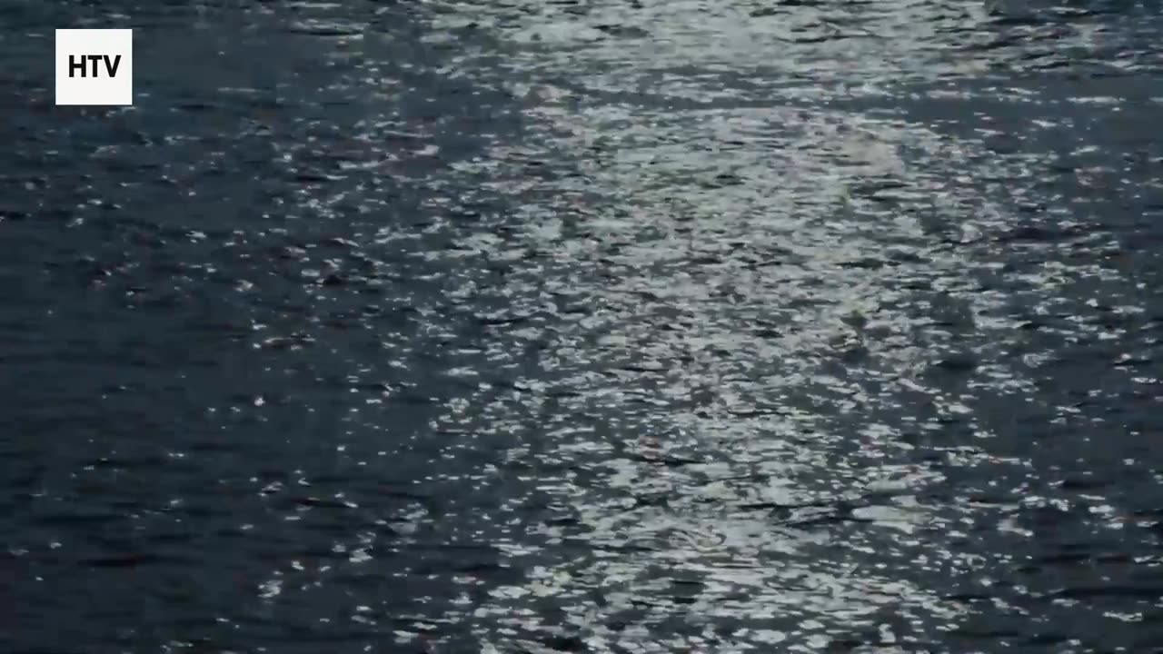 The Eternal Battle of Survival