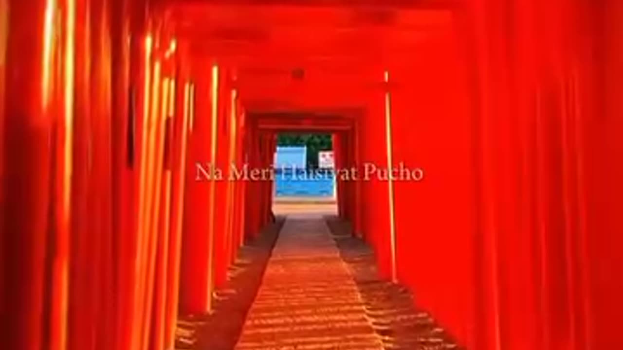 ❤️😍🤩Khairiyat pucho.....🥰😍
