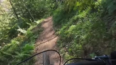 Glessner Acres Preserve MTB Park