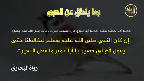 وما ينطق عن الهوى 145 الِانْب