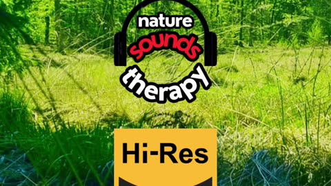 Cukoo bird sound