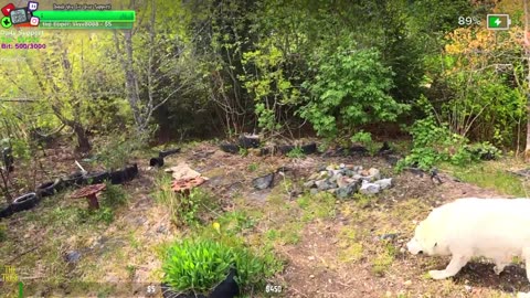 EXPLORING / FISHING Isolated Village ALASKA Farmstead !Isolated Village | !Real