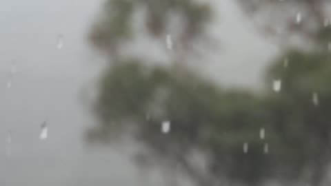 Daily Horoscope | Gemini 🌟