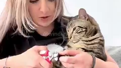 dog fails, dog moments, funny pets, cute puppies, pet humor, dog lovers, dog life