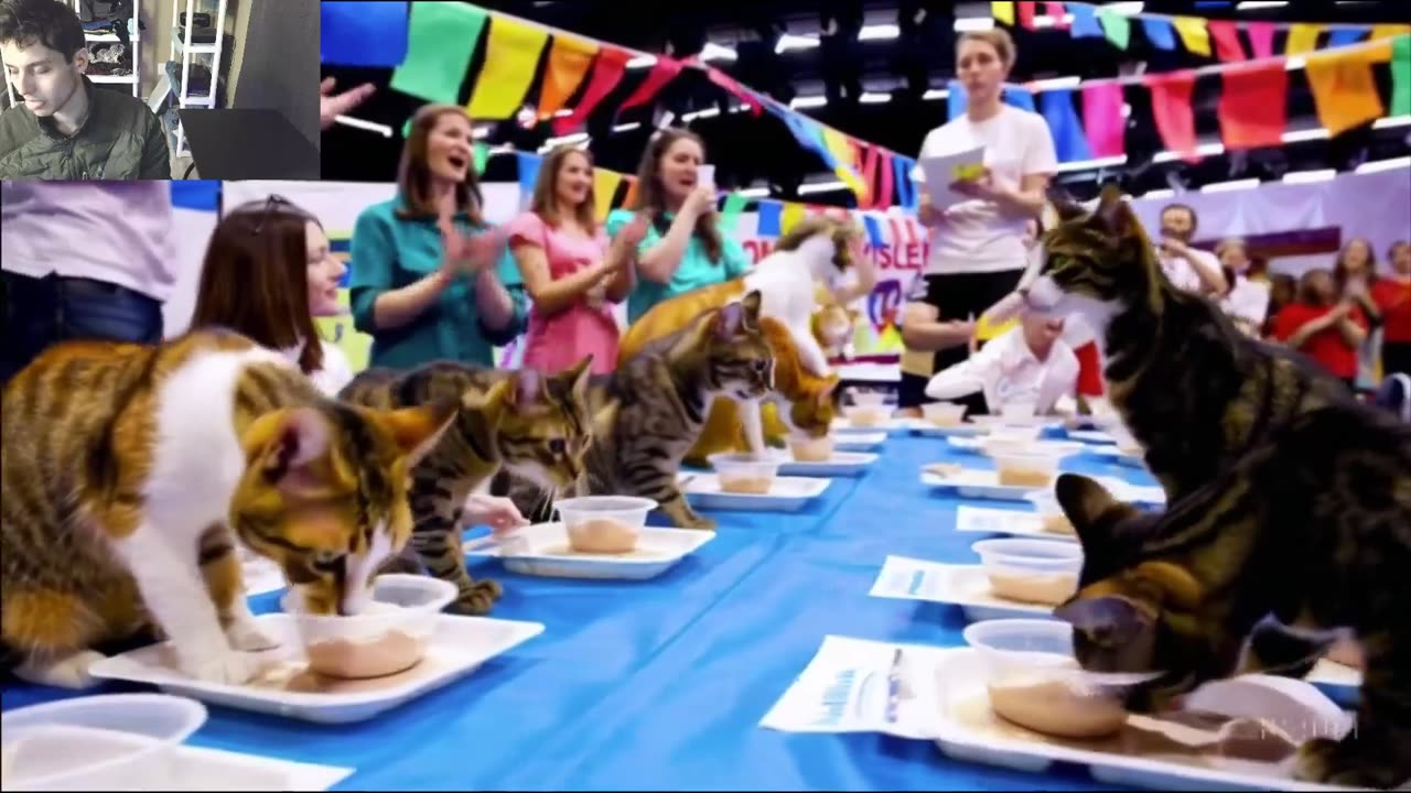 Outtake #1,181 Of The Cats Attempt The Vegan Yogurt Eating Contest Fake Funny Parody Video