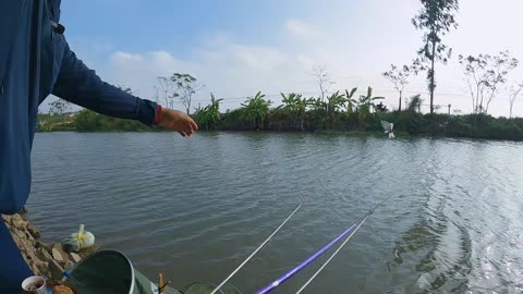 Fishing for Tench in a Lush Green Lake