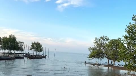 "A Feast with a View: Enjoying Fresh Food by the Ocean Breeze"