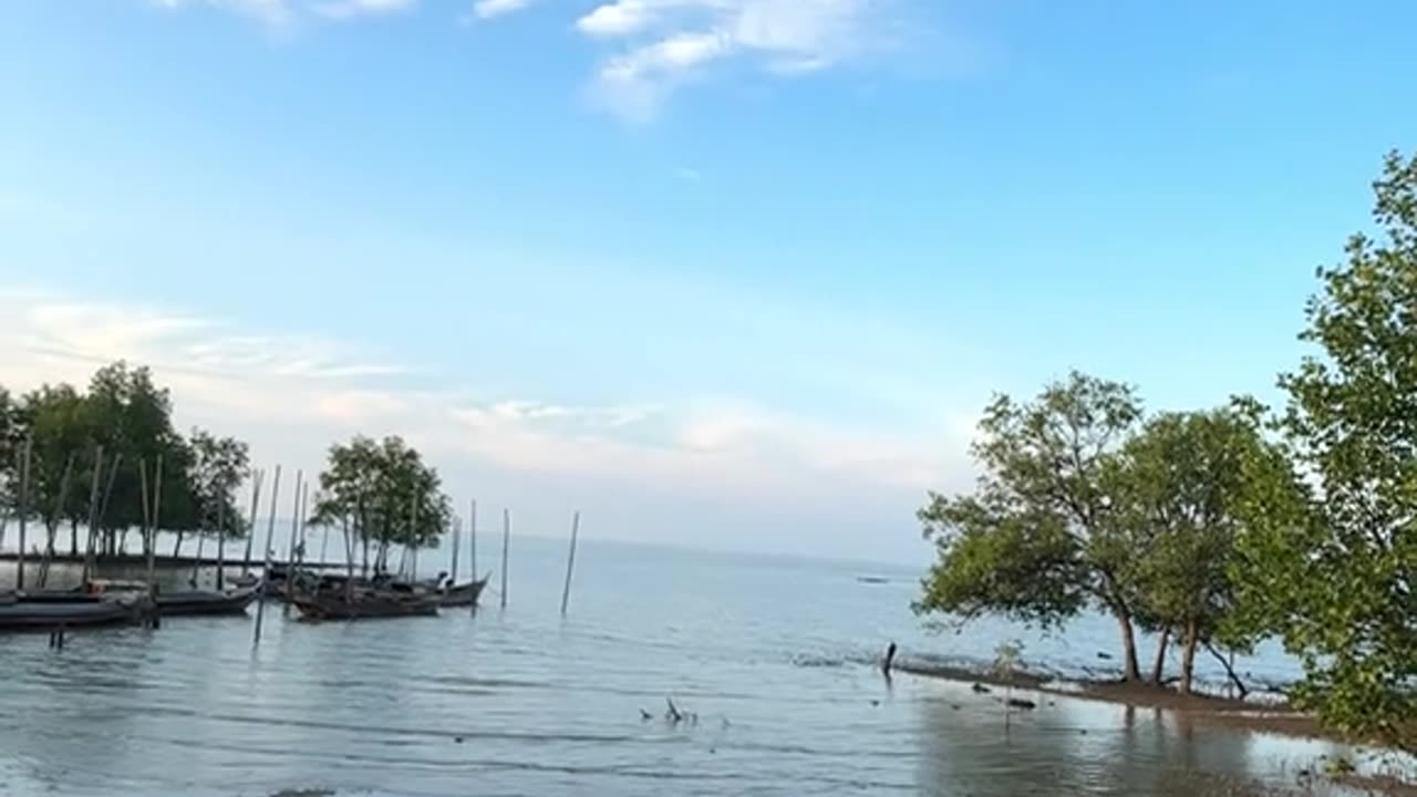 "A Feast with a View: Enjoying Fresh Food by the Ocean Breeze"