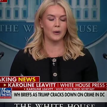 Karoline Leavitt just unveiled the INCREDIBLE stats out of DC following Trump's crime crackdown