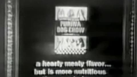 Commercial - Purina Dog Chow 1965