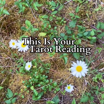 Clarity In Motion | Path and Tarot Reading