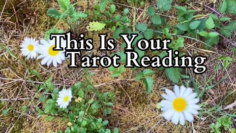 Clarity In Motion | Path and Tarot Reading