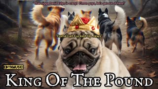 King Of The Pound