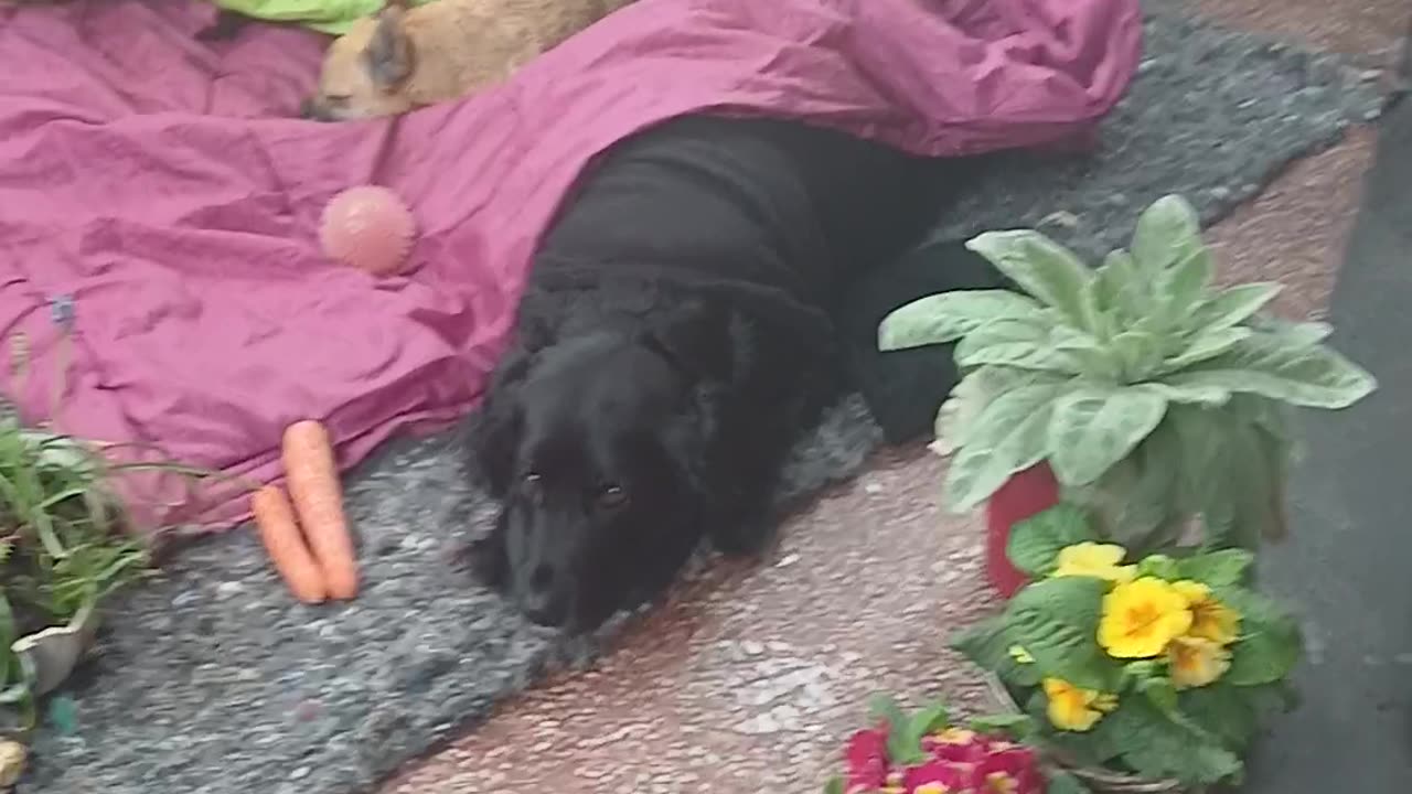 I love you so much x